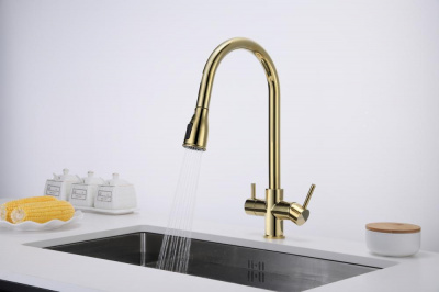 Смеситель для кухни Paulmark Lange La214212-G золото