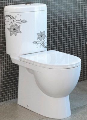 Унитаз-компакт Sanita luxe Art Flora микролифт