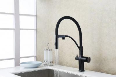 Смеситель для кухни Lemark Bronx LM3761BL