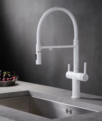 Смеситель для кухни с подключением фильтра для воды Rose R458C белый