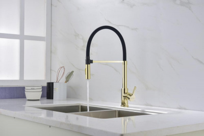 Смеситель для кухни Paulmark Halt Ha214021-G золото
