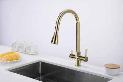 Смеситель для кухни Paulmark Lange La214212-G золото