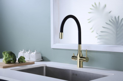Смеситель для кухни Paulmark Salix Sa213419-G золото
