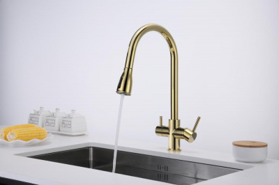 Смеситель для кухни Paulmark Lange La214212-G золото